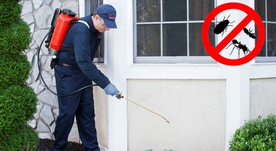 Kemah Karınca İlaçlama böcek ilaçlama ve haşere kontrolü — ilaclama-tr.com